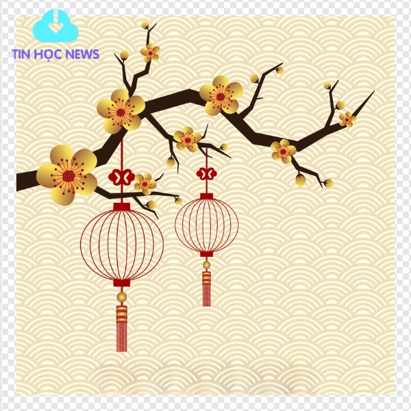 Hoa mai ngày tết vector