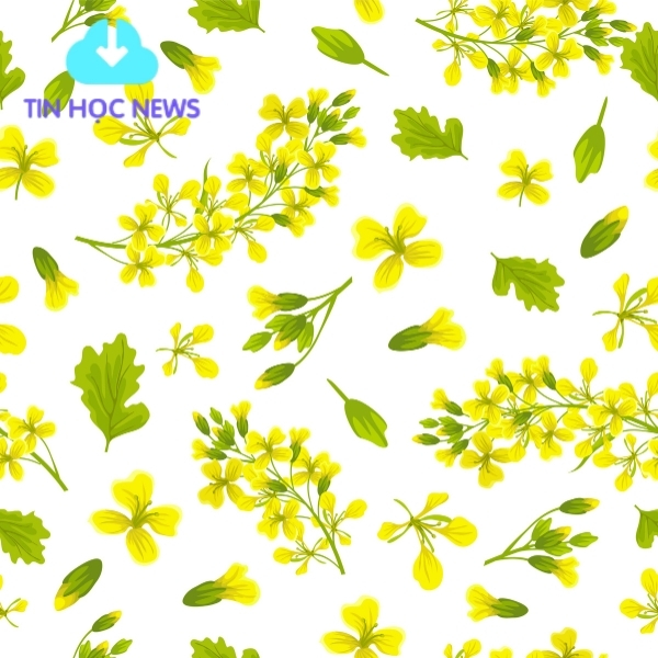 Hoa mai vector free download