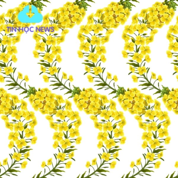 Họa tiết hoa mai PNG trang trí