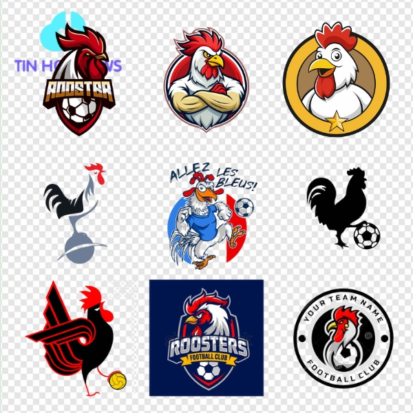 Tải Ngay 31+ Hình Ảnh Vector Gà Đẹp Mắt Chất Lượng Logo gà bóng đá vector