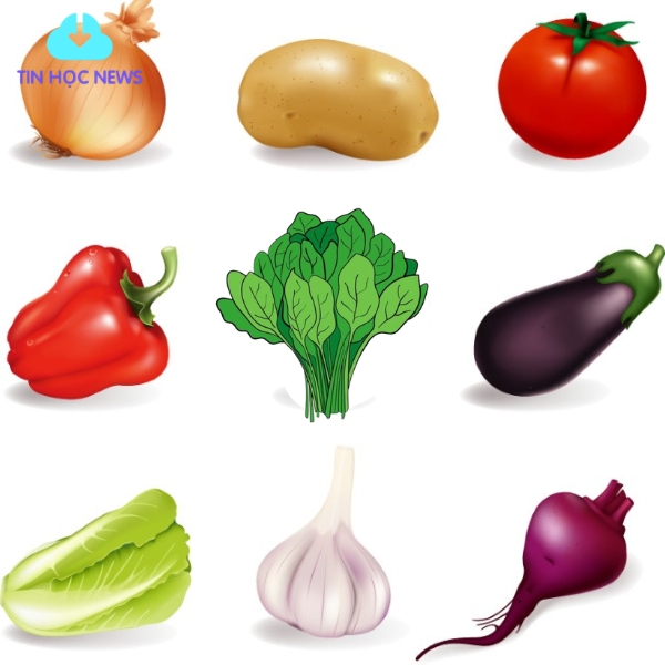 Vector các loại củ thông dụng
