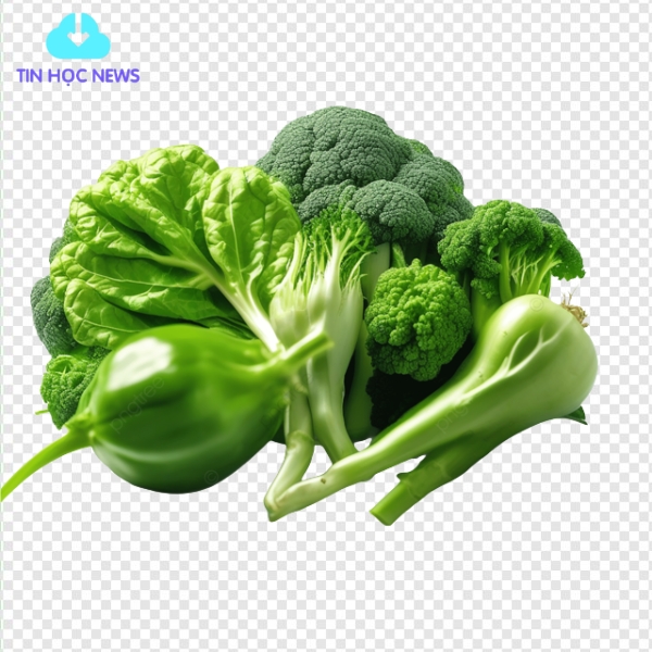 Vector rau xanh tươi mát