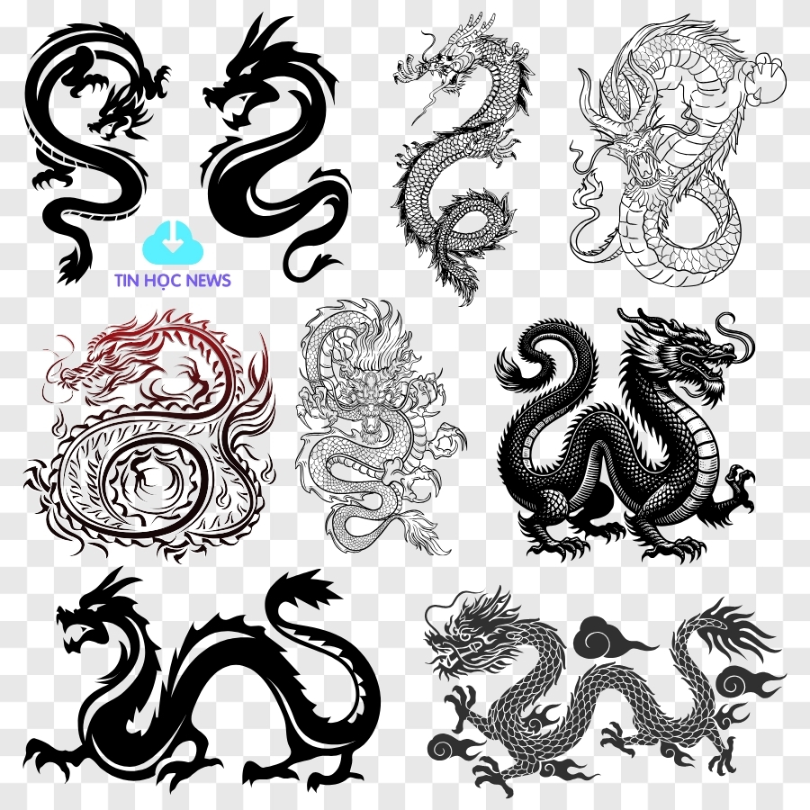 Tổng Hợp 100+ Hình Ảnh Con Rồng Vector Đẹp Nhất Miễn Phí