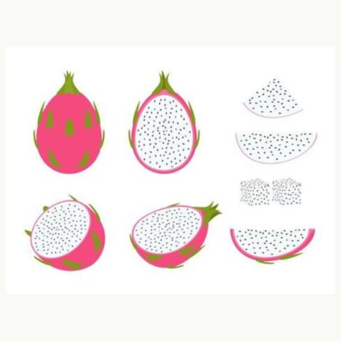 Tải Ngay Trọn Bộ Vector Rau Củ Quả Đẹp Và Ấn Tượng 2024