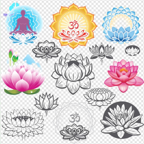 Tải Hoa sen vector Đẹp Xuất Sắc File PNG/AI/EPS Miễn Phí Đài sen phật tử vector