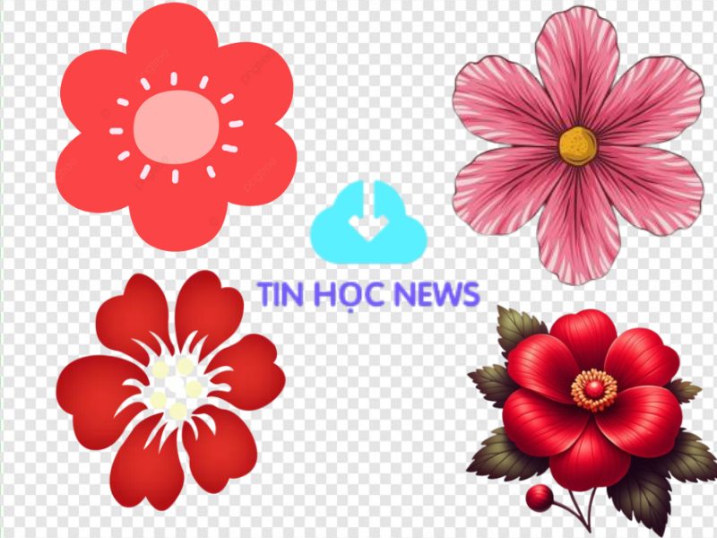 Bộ 20+ Ảnh Hoa 6 Cánh Vector Download Miễn Phí Hoa 6 cánh màu đỏ vector