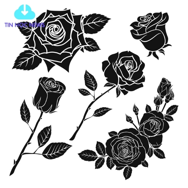 Tải Hoa Hồng Vector Đẹp File Corel, PNG, PSD, PNG Miễn Phí Hoa hồng vector đơn điệu