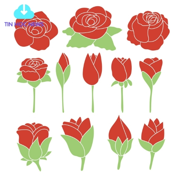 Tải Hoa Hồng Vector Đẹp File Corel, PNG, PSD, PNG Miễn Phí Hoa hồng vector