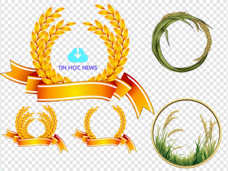 Khung viền bông lúa vector