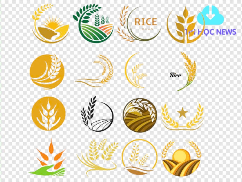 Logo bông lúa vector