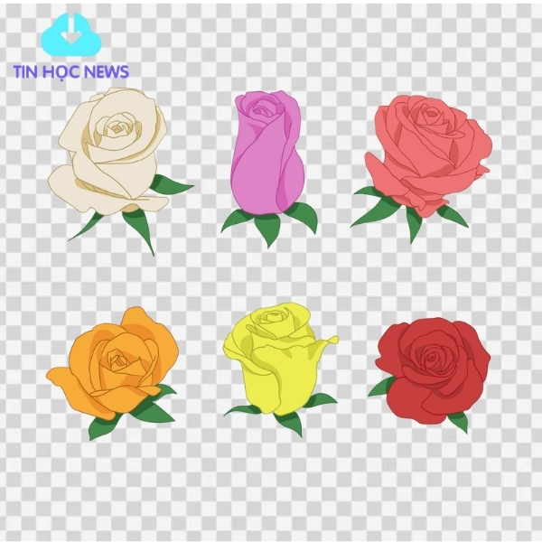 Tải Hoa Hồng Vector Đẹp File Corel, PNG, PSD, PNG Miễn Phí Vector hoa hồng PNG