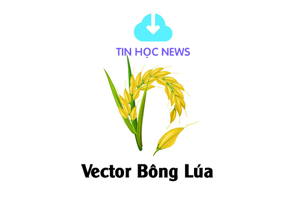 Vector bông lúa