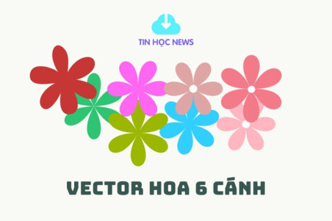 Bộ 20+ Ảnh Hoa 6 Cánh Vector Download Miễn Phí avt vector hoa 6 canh