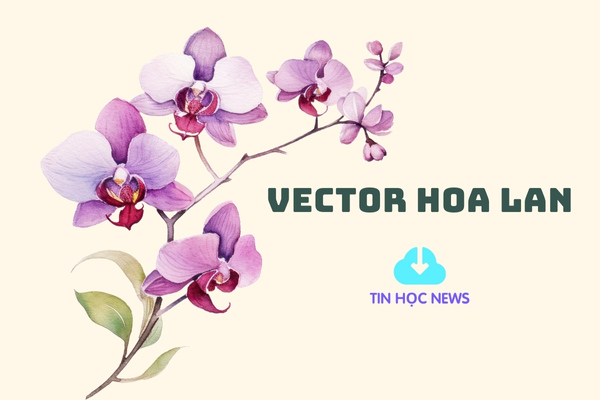 avt vector hoa lan 1