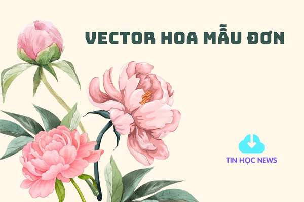 avt vector hoa mau don