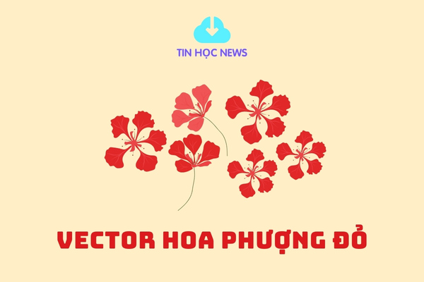 avt vector hoa phuong