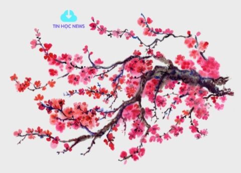 Tải Miễn Phí Hoa Đào Tết Đẹp File Vector PNG, PSD,...