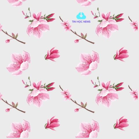 Tải Miễn Phí Hoa Đào Tết Đẹp File Vector PNG, PSD,...