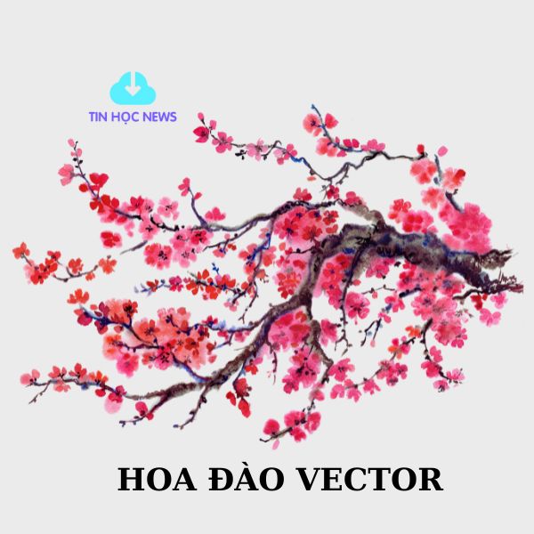 hoa dao vector