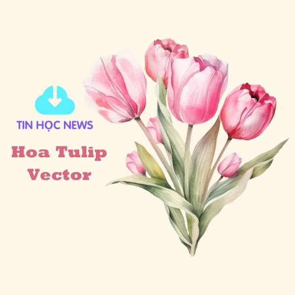 hoa tulip vector