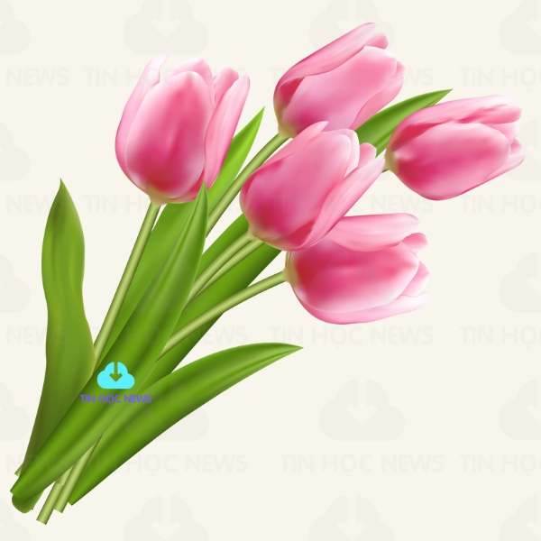 tai hoa tulip vector mien phi