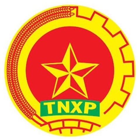 logo thanh niên xung phong vector