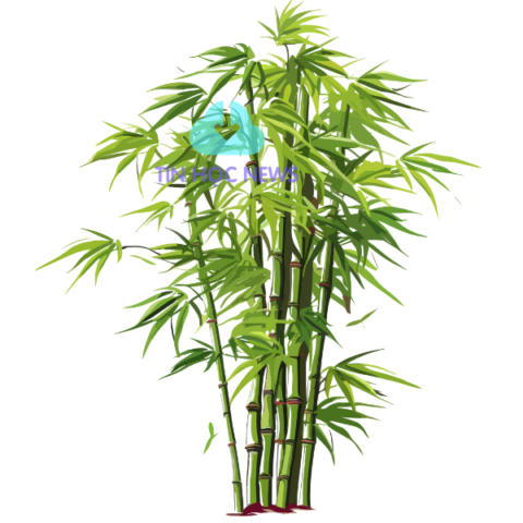 20+ Mẫu Cây Tre Vector Đẹp, Sắc Nét, AI, EPS, PNG, Tải Xuống Miễn Phí