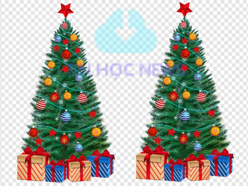 20+ Mẫu Cây Thông Noel Vector Đẹp, Sắc Nét File AI, EPS, JPEG, PNG, SVG, PDF Cây thông noel vector file PNG