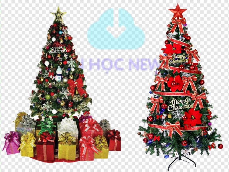 20+ Mẫu Cây Thông Noel Vector Đẹp, Sắc Nét File AI, EPS, JPEG, PNG, SVG, PDF Cây thông noel vector siêu đẹp