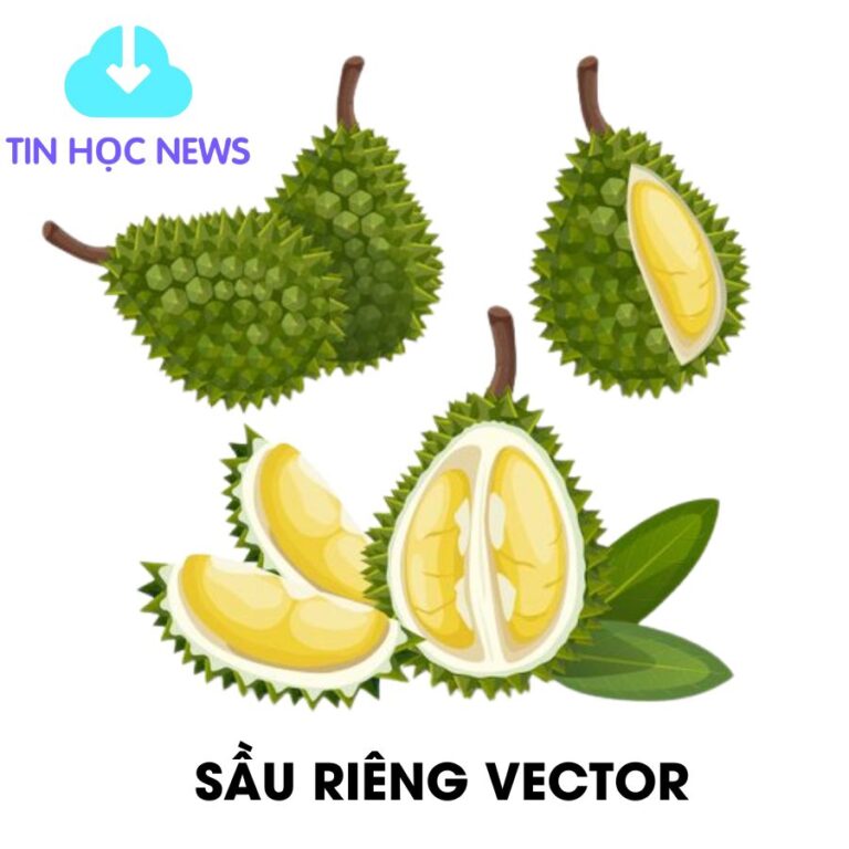 Sau rieng vector