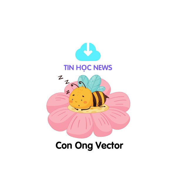 Tin hoc news 13