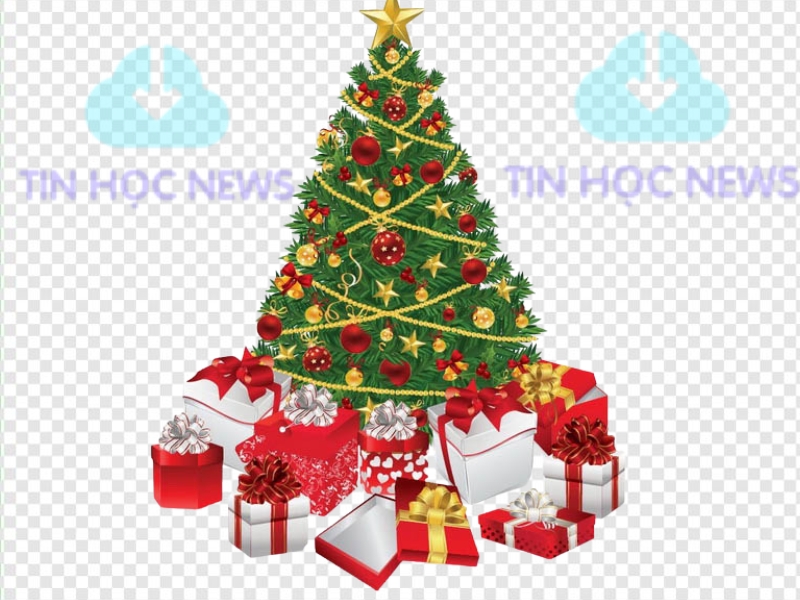 20+ Mẫu Cây Thông Noel Vector Đẹp, Sắc Nét File AI, EPS, JPEG, PNG, SVG, PDF Vector cây thông noel