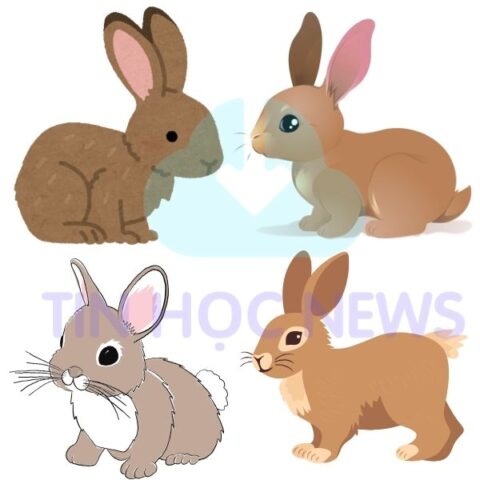 Hình Ảnh Con Thỏ Vector File JPEG, PNG, SVG Không Nền