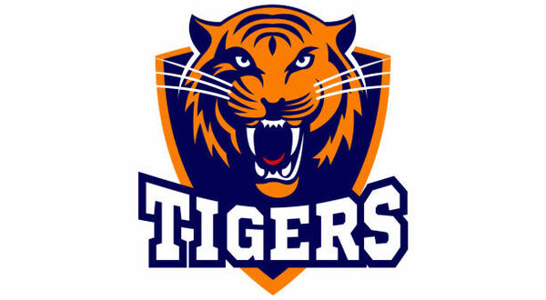 logo tiger vector