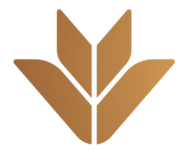 logo vpbank vector