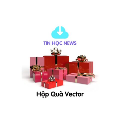 hop qua vector