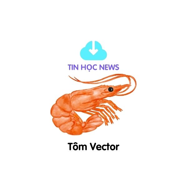 tom vector