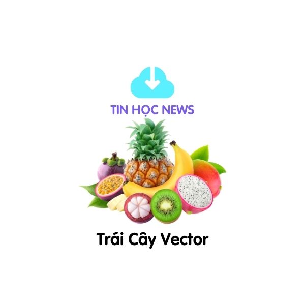 trai cay vector