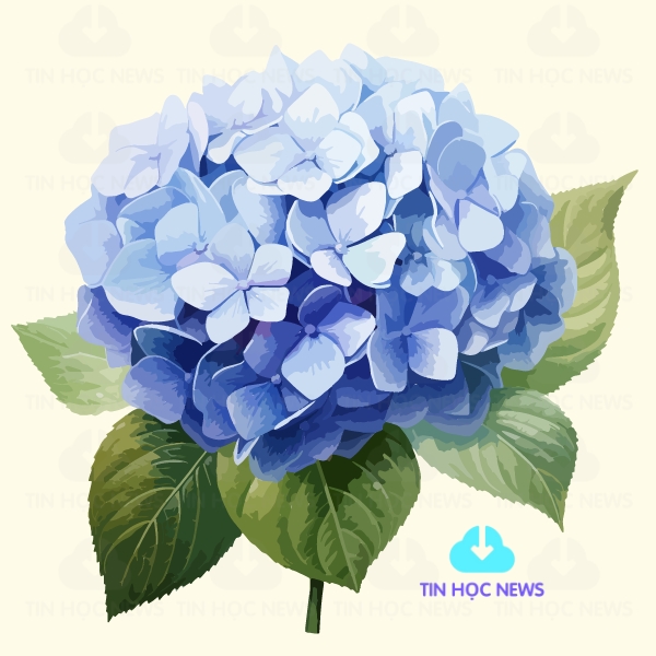 download hinh anh hoa cam tu cau dep nhat file vector mien phi