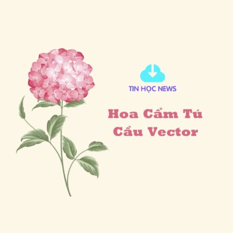 hoa cam tu cau vector