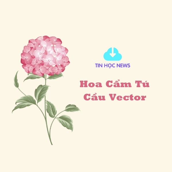 hoa cam tu cau vector