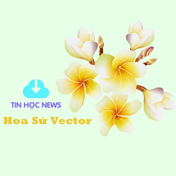 hoa su vector