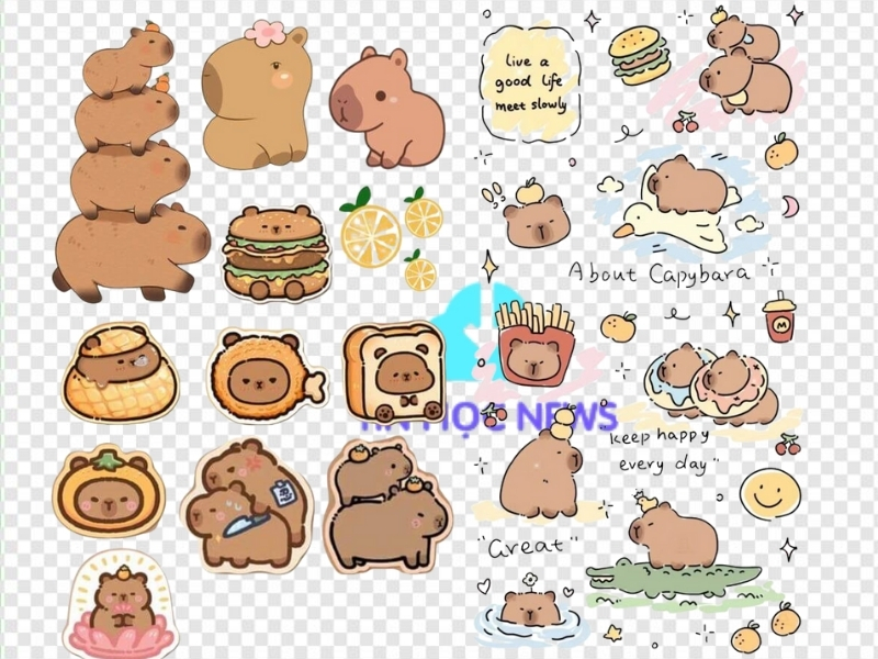 Ảnh Avatar Capybara vô tri