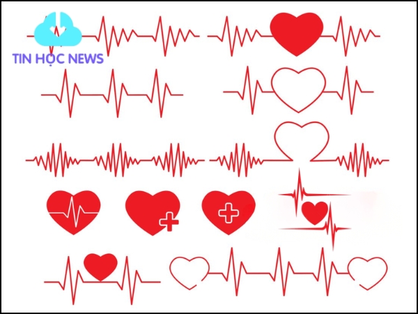 Trái tim và nhịp đập