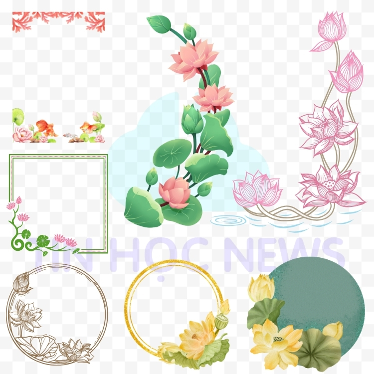Tải Miễn Phí Hoa Sen Vector Đẹp File PNG, AI, SVG, EPS Tải khung hoa sen vector cho trang trí