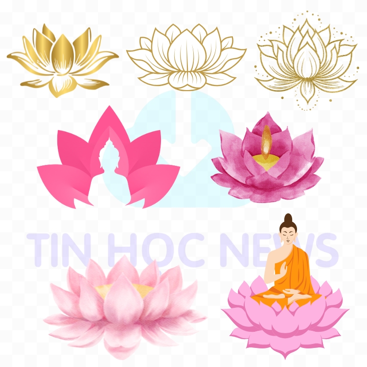 Tải Miễn Phí Hoa Sen Vector Đẹp File PNG, AI, SVG, EPS Mẫu Hoa sen Phật giáo vector