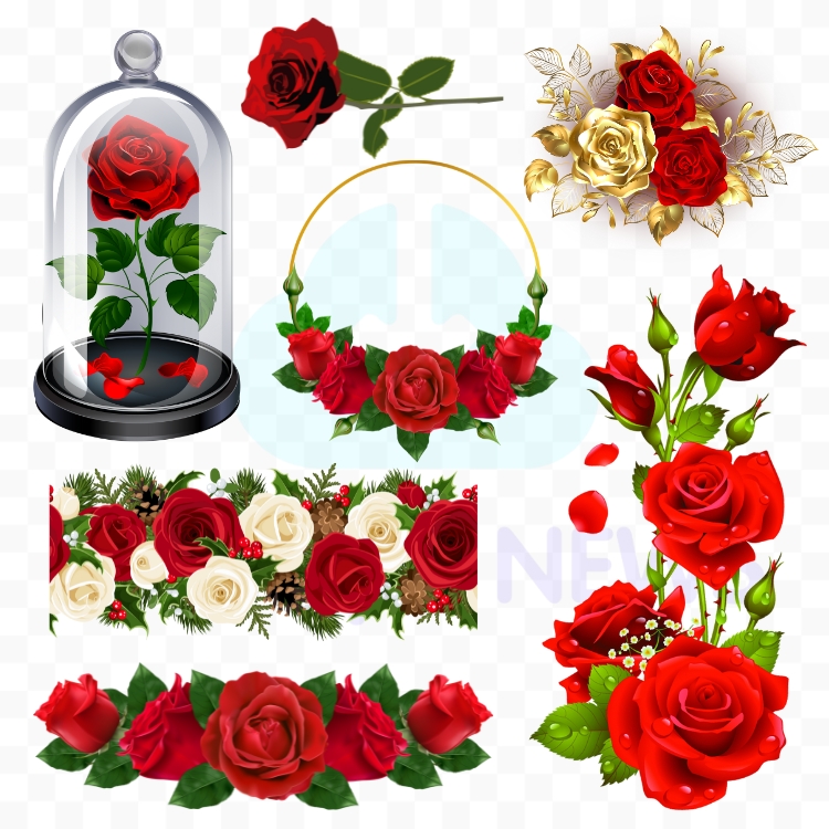 Tổng Hợp Hình Hoa Hồng Vector Đẹp Nhất Cho Trang Trí vector hoa hồng file corel