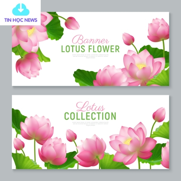 Tải Hoa sen vector Đẹp Xuất Sắc File PNG/AI/EPS Miễn Phí Banner hoa sen miễn phí