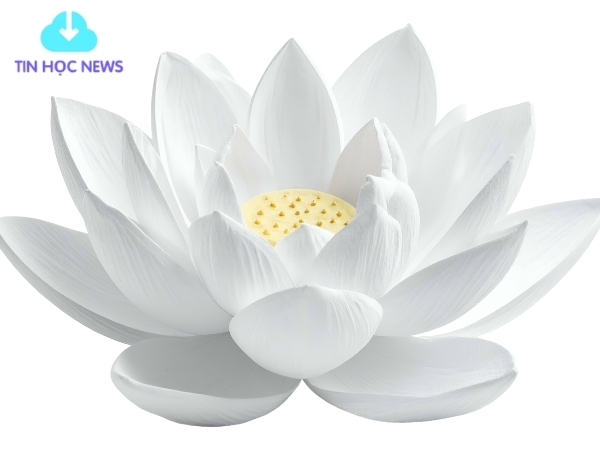 Tải Hoa sen vector Đẹp Xuất Sắc File PNG/AI/EPS Miễn Phí Bông sen trắng file PNG